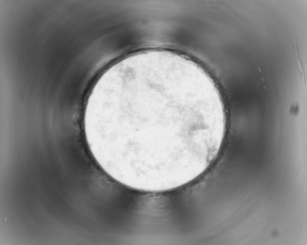 X0000103971314200809191525