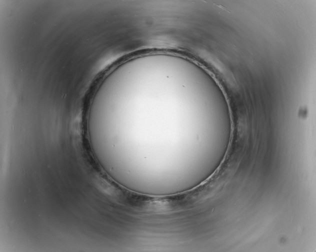 X0000103971315200809191525