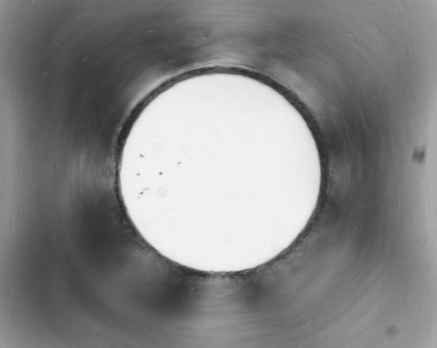 X0000103971316200809191525