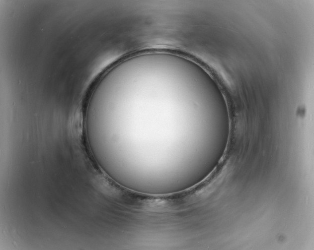 X0000103971317200809191525