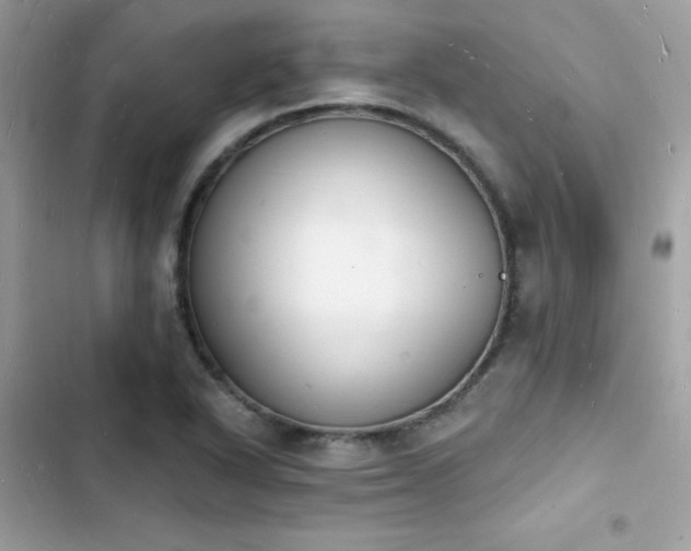 X0000103971318200809191525