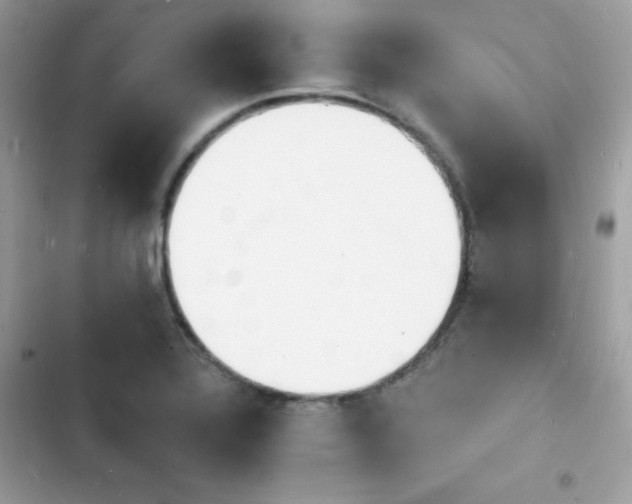 X0000103971320200809191525