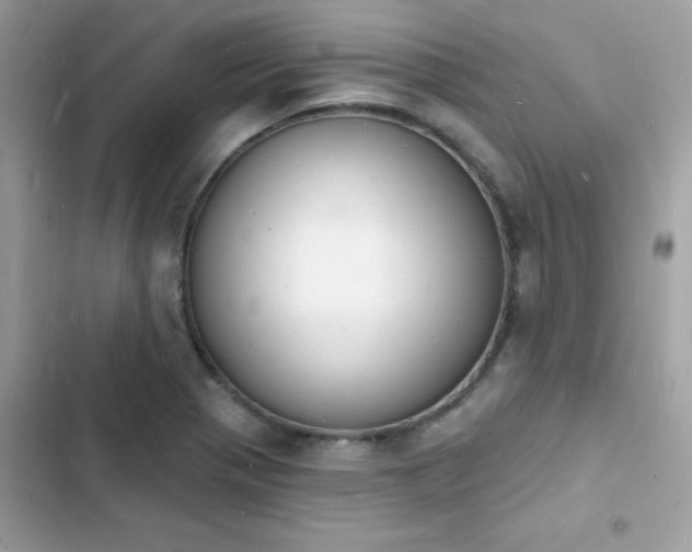 X0000103971321200809191525