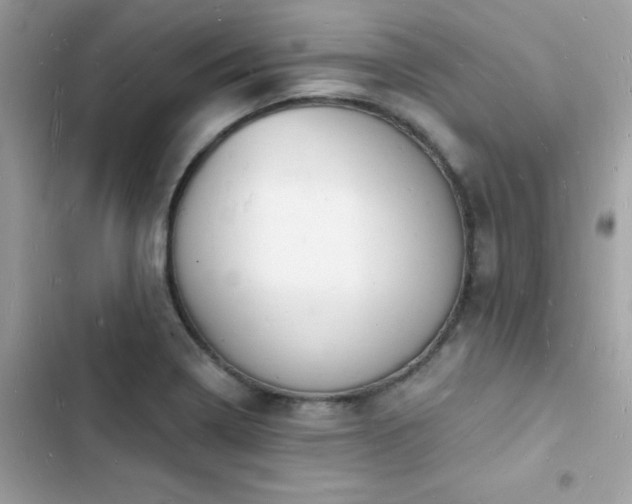 X0000103971322200809191525