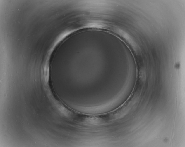 X0000103971323200809191525