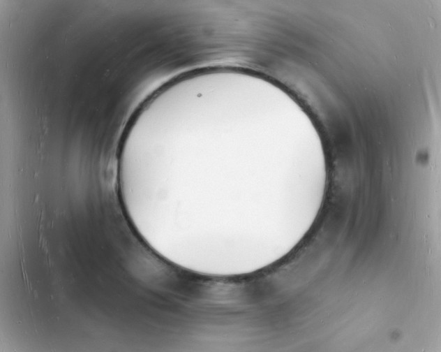 X0000103971324200809191525