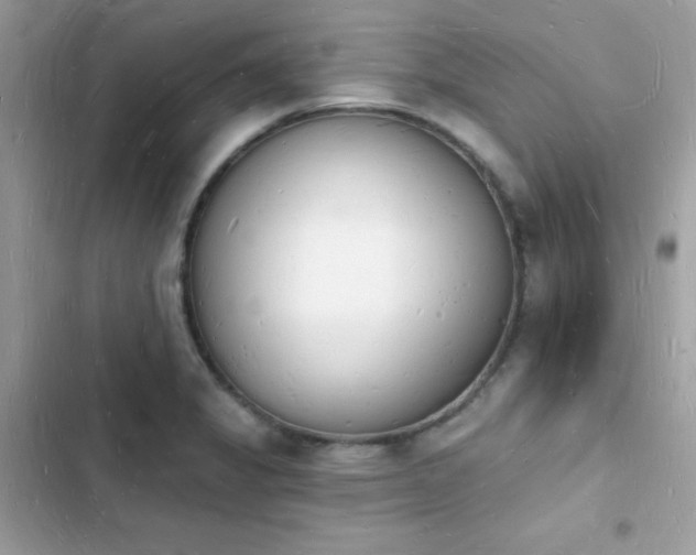 X0000103971325200809191525