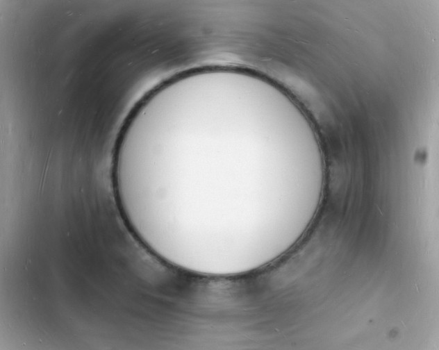 X0000103971326200809191525