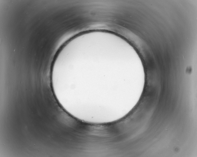 X0000103971328200809191525