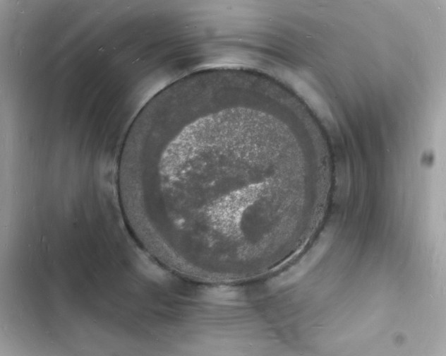 X0000103971329200809191525