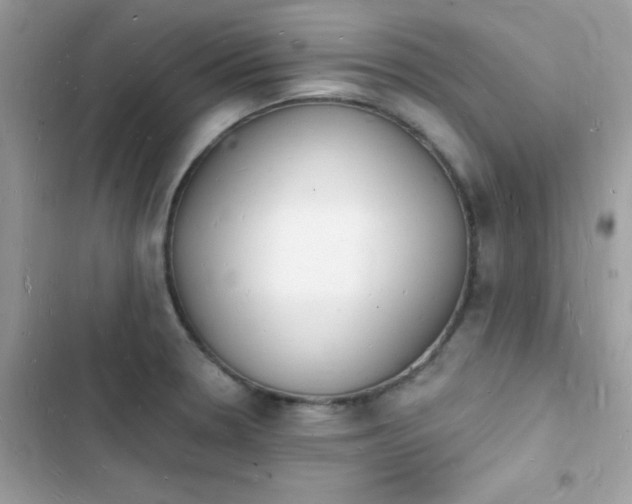 X0000103971330200809191525