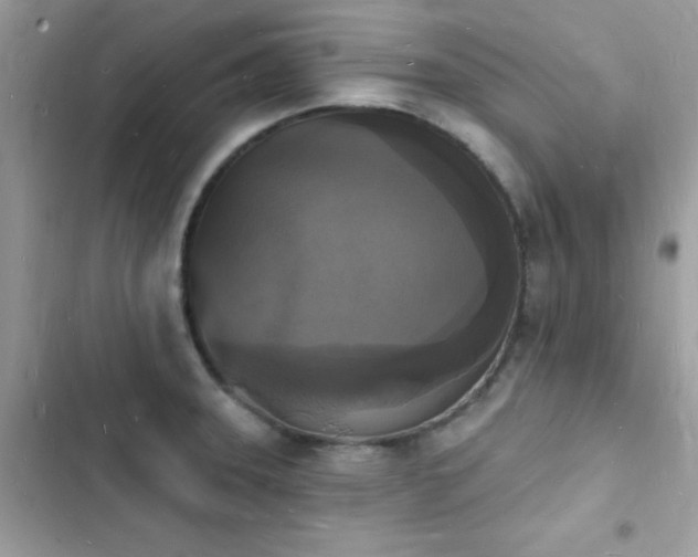 X0000103971331200809191525