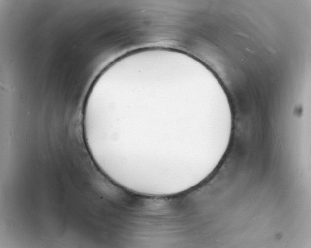 X0000103971332200809191525