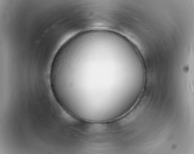 X0000103971333200809191525