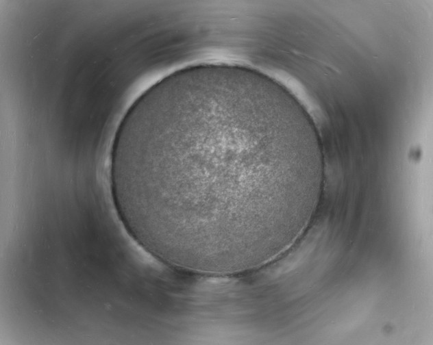 X0000103971335200809191525