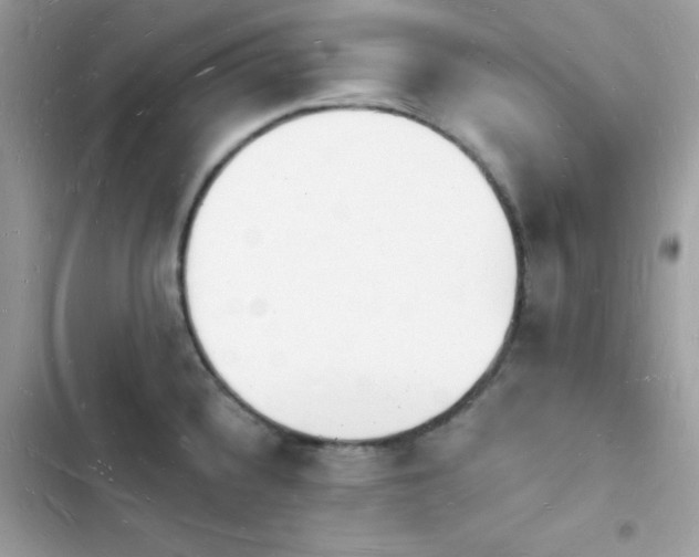 X0000103971336200809191525