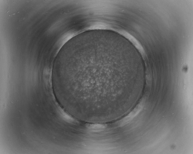 X0000103971337200809191525