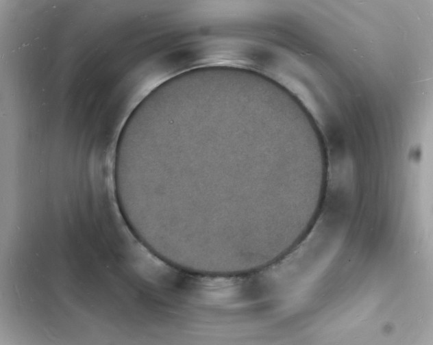 X0000103971338200809191525