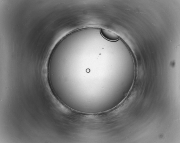 X0000103971341200809191525