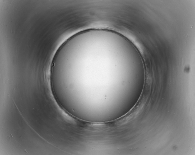 X0000103971343200809191525