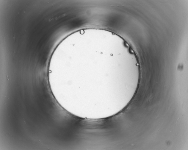 X0000103971344200809191525