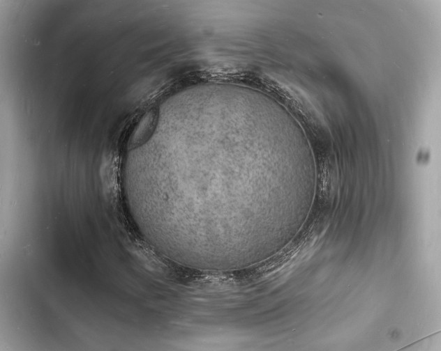 X0000103971346200809191525