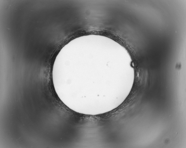 X0000103971348200809191525