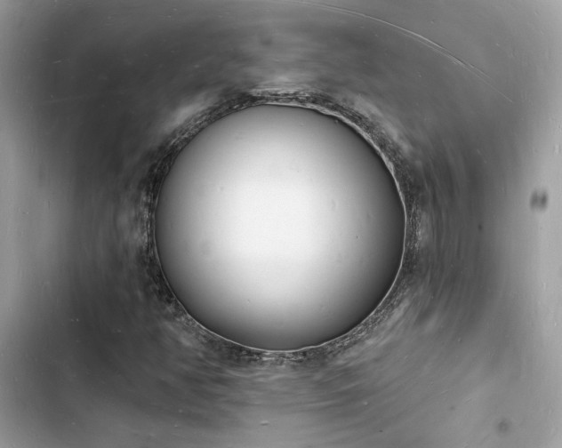 X0000103971350200809191525