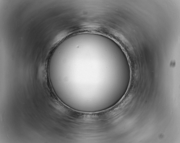 X0000103971354200809191525