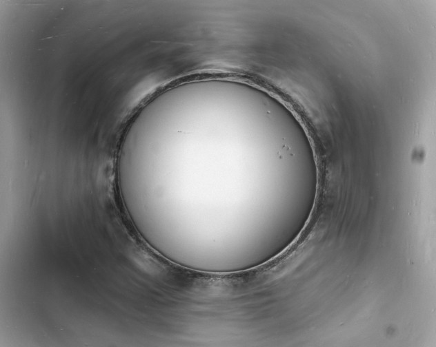 X0000103971355200809191525