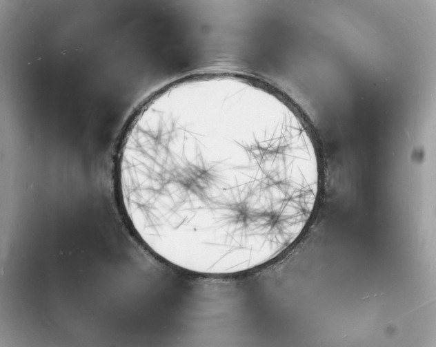 X0000103971356200809191525