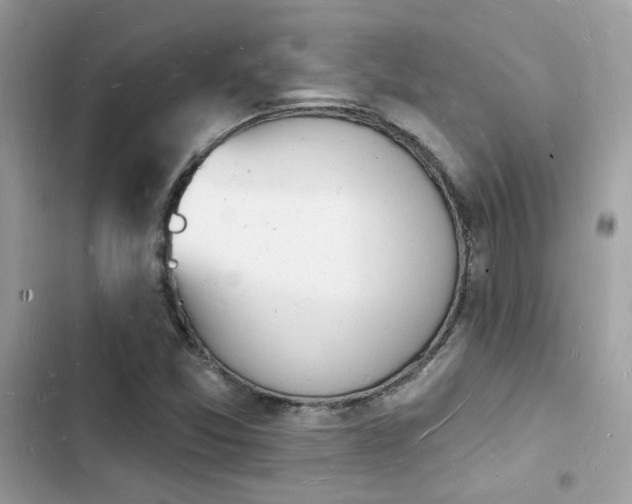 X0000103971357200809191525