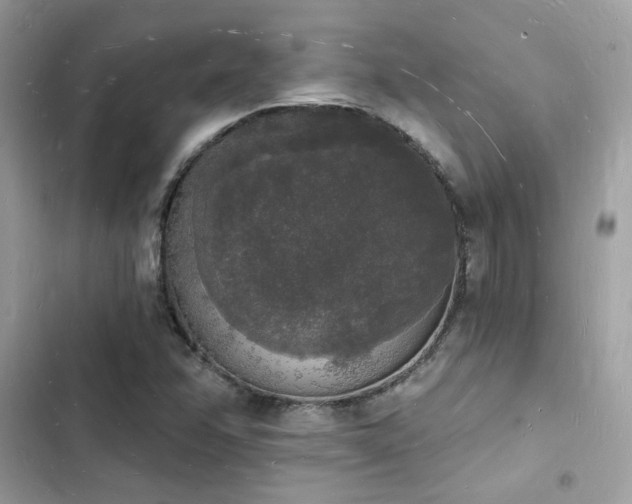 X0000103971358200809191525