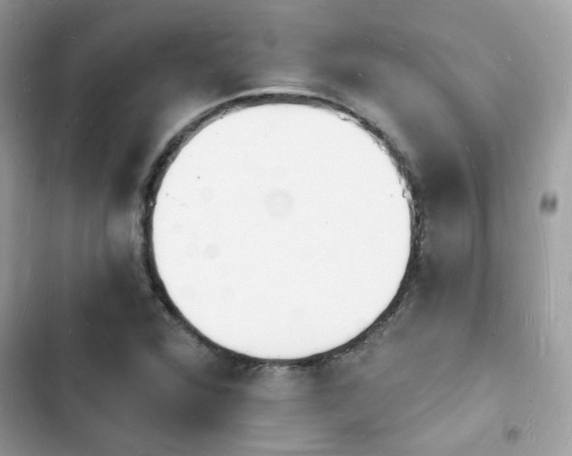 X0000103971360200809191525