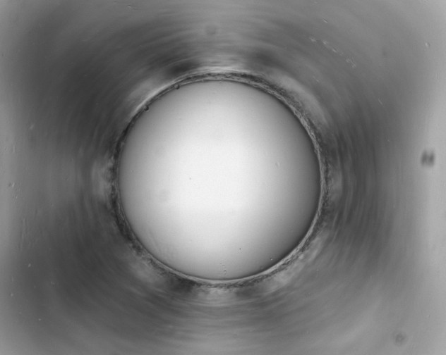 X0000103971361200809191525