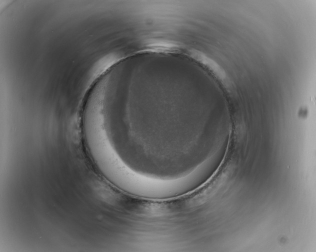 X0000103971362200809191525