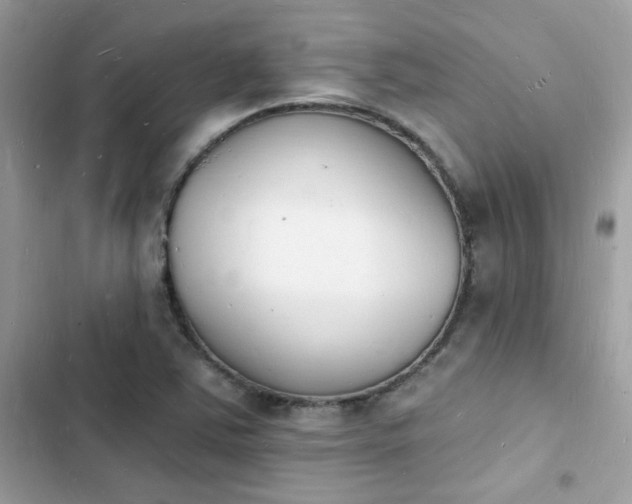 X0000103971363200809191525