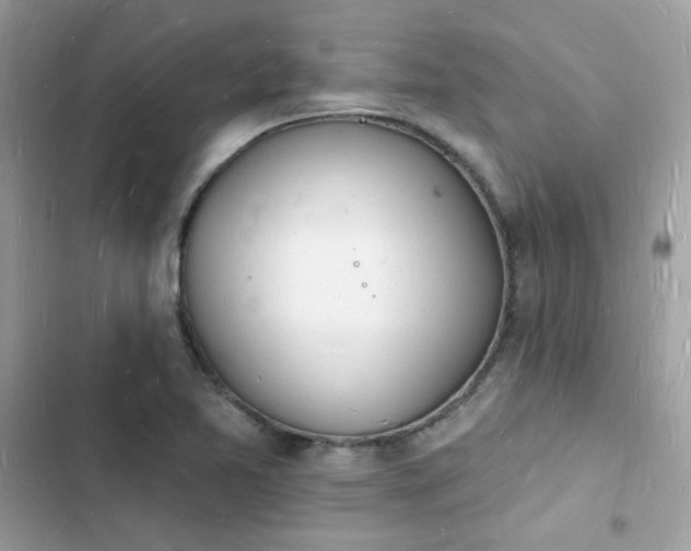 X0000103971365200809191524