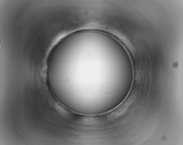 X0000103971366200809191524