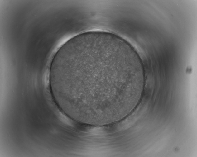 X0000103971367200809191524