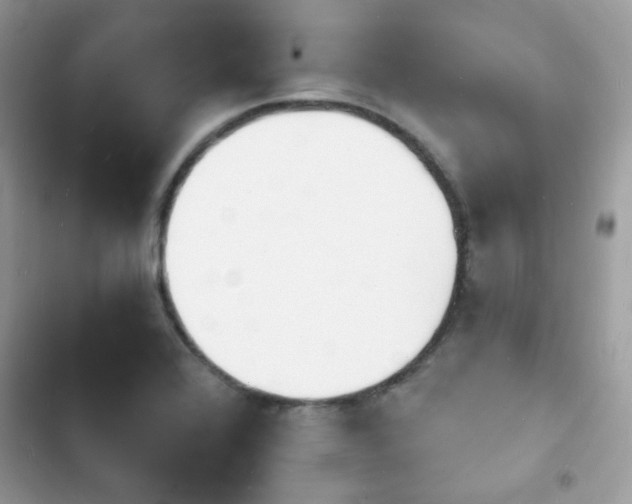 X0000103971368200809191524