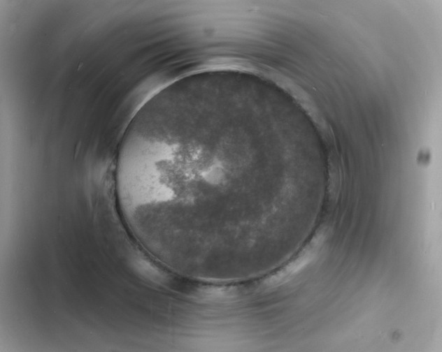 X0000103971369200809191524