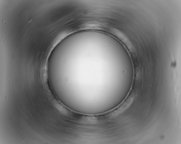 X0000103971370200809191524