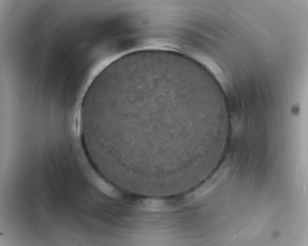 X0000103971371200809191524