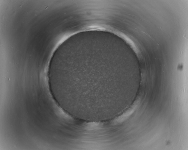 X0000103971373200809191524