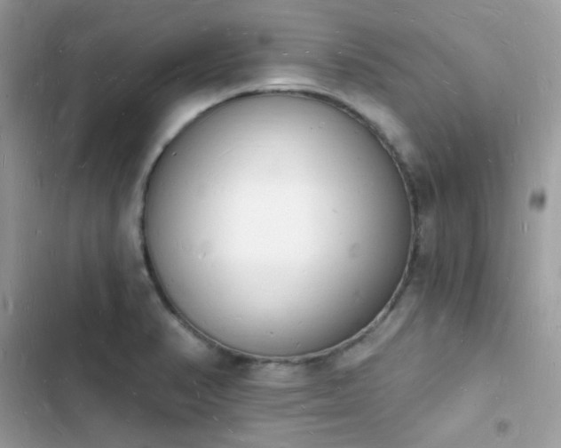 X0000103971374200809191524