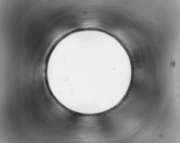 X0000103971376200809191524