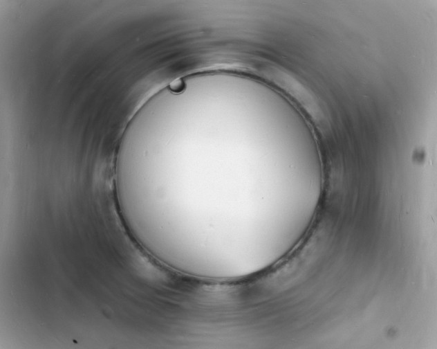 X0000103971377200809191524