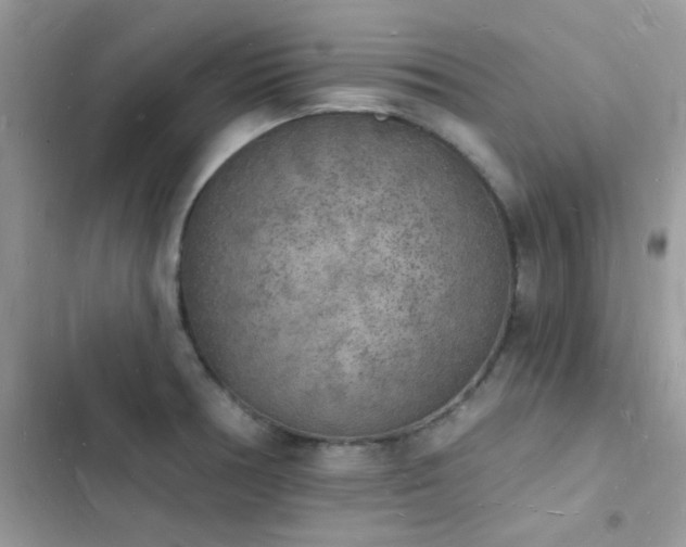 X0000103971378200809191524