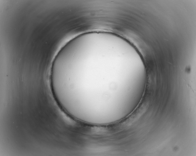 X0000103971379200809191524